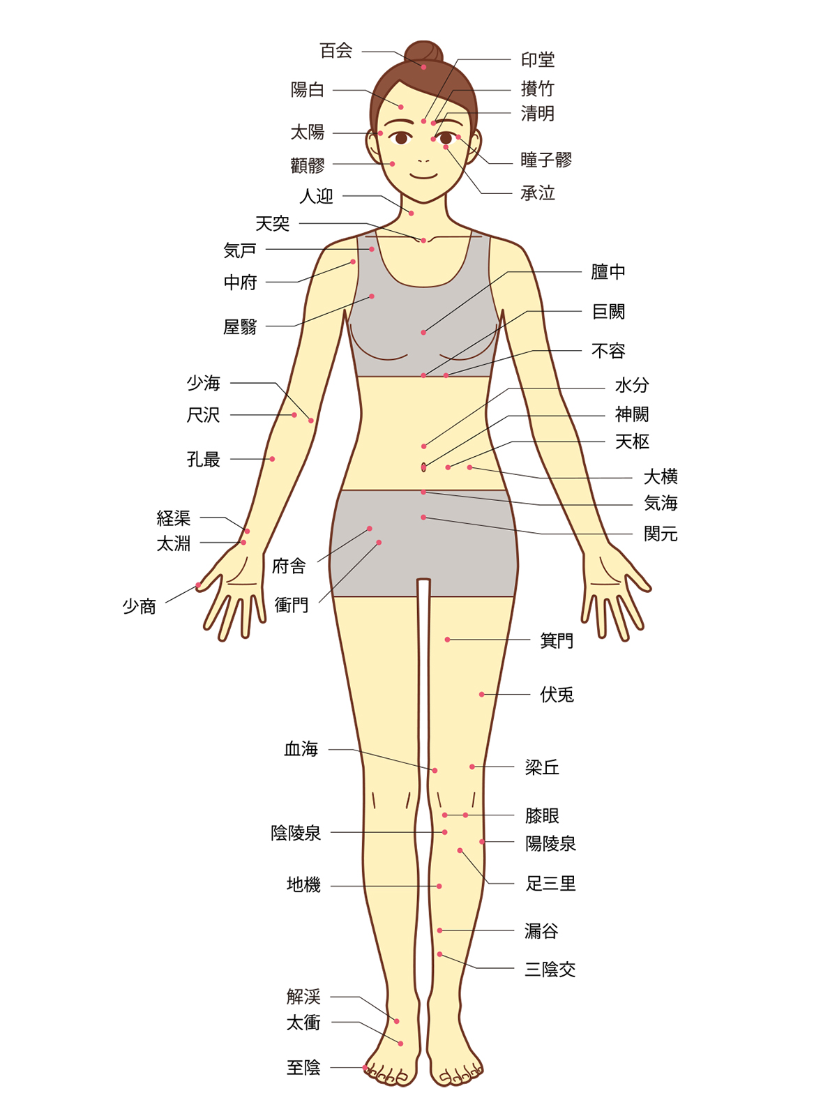 セルフケアで使えるツボ紹介① ～経穴と経絡の効果・特効穴～ | 美容鍼灸サロン カラダキュア東京銀座・カラダキュア浜松町大門